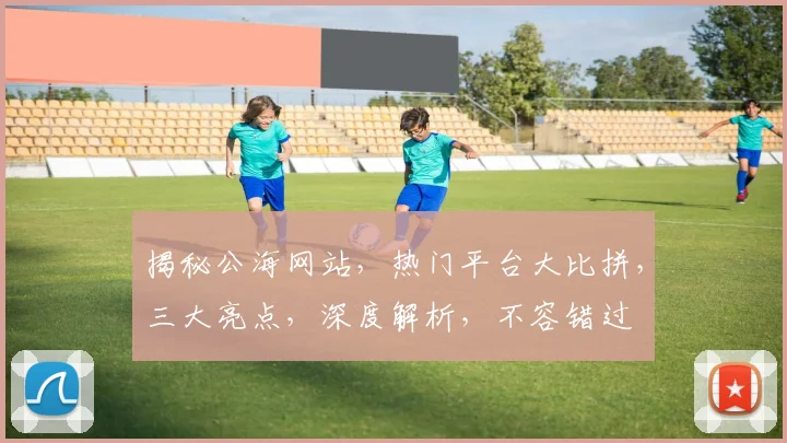 揭秘公海网站，热门平台大比拼，三大亮点，深度解析，不容错过
