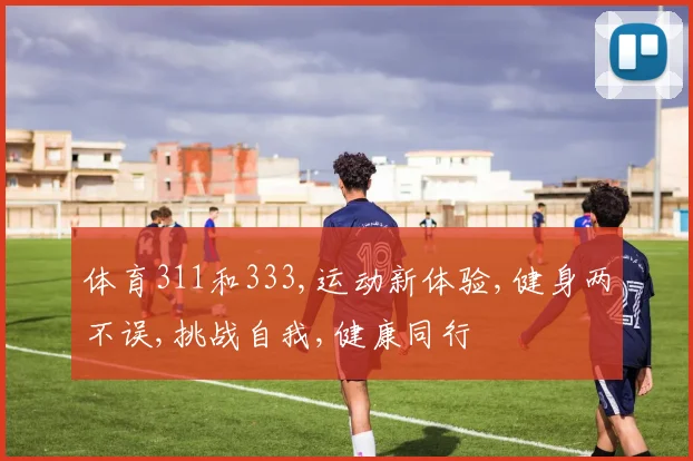 体育311和333,运动新体验,健身两不误,挑战自我,健康同行