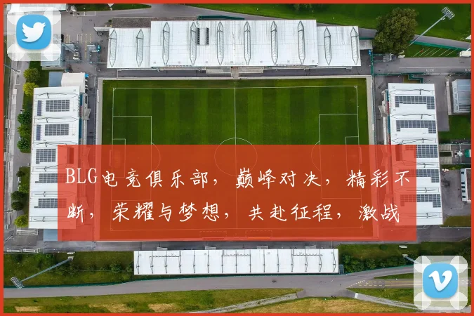 BLG电竞俱乐部，巅峰对决，精彩不断，荣耀与梦想，共赴征程，激战正酣