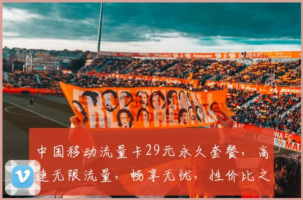 中国移动流量卡29元永久套餐，高速无限流量，畅享无忧，性价比之选，抢购就送