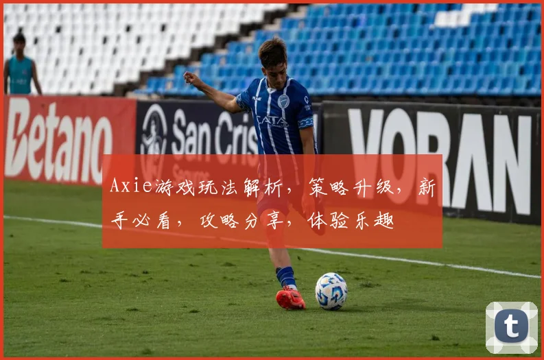 Axie游戏玩法解析，策略升级，新手必看，攻略分享，体验乐趣